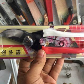 金蘋果手剪 ，整枝剪